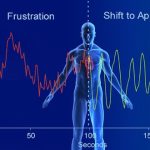 How to monitor heart rate variability for health insights