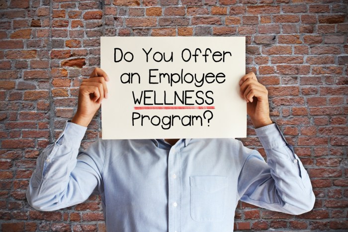 Benefits of wellness programs for small businesses